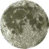 large moon logo