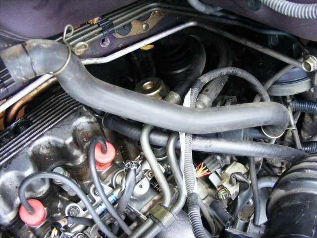 Is this how this hose is supposed to run?