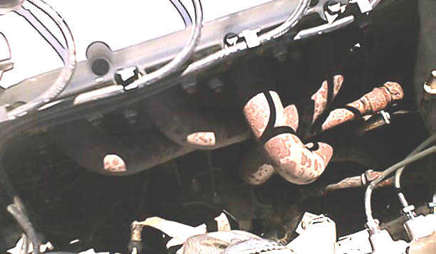 KA24DE from my raced 240SX - header