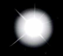 sunwhite