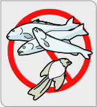 vis_chem_fish2
